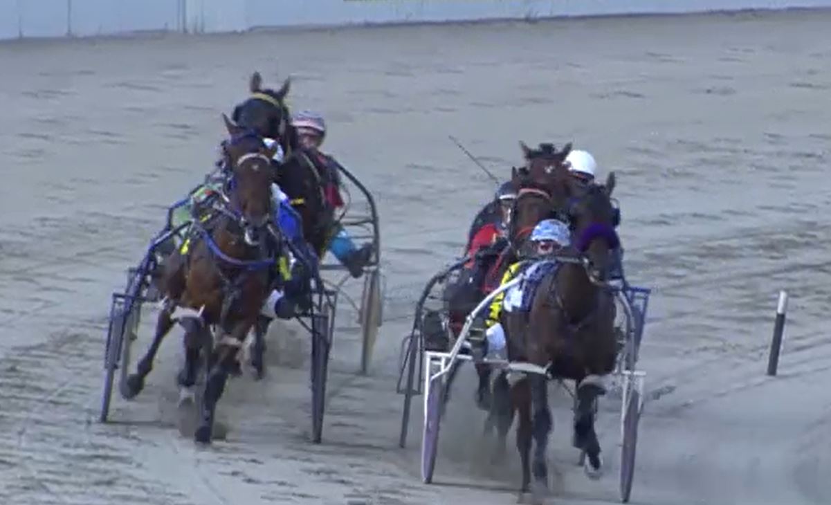 Kate tells Trots Talk she's ready to Lay The Smackdown at Bendigo Harness Racing Victoria